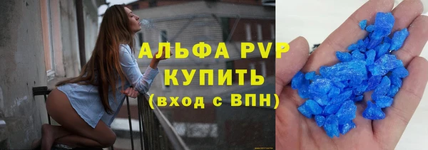 индика Вязники