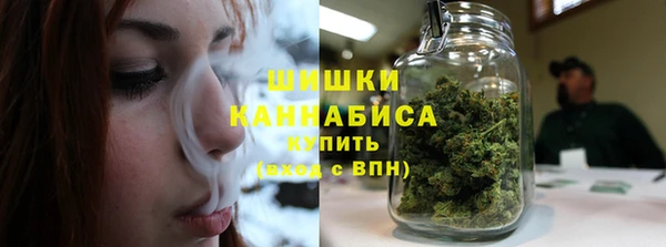 прущие грибы Вяземский