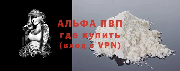 прущие грибы Вяземский