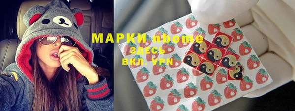 прущие грибы Вяземский
