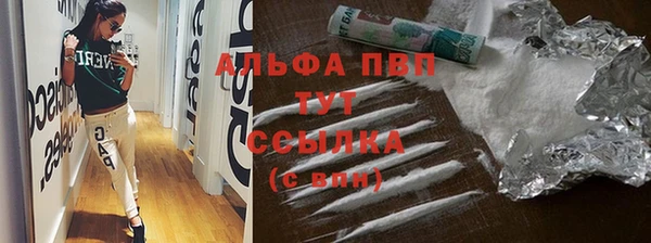 индика Вязники