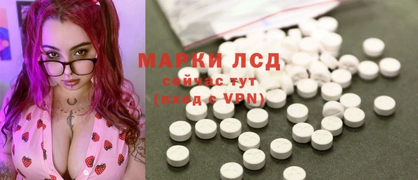 индика Вязники