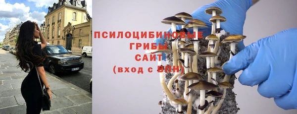 прущие грибы Вяземский